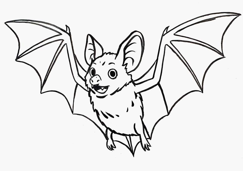  Foto zu How To Draw A Cute Bat - Easy Step By Step Tutorial For Beginners 